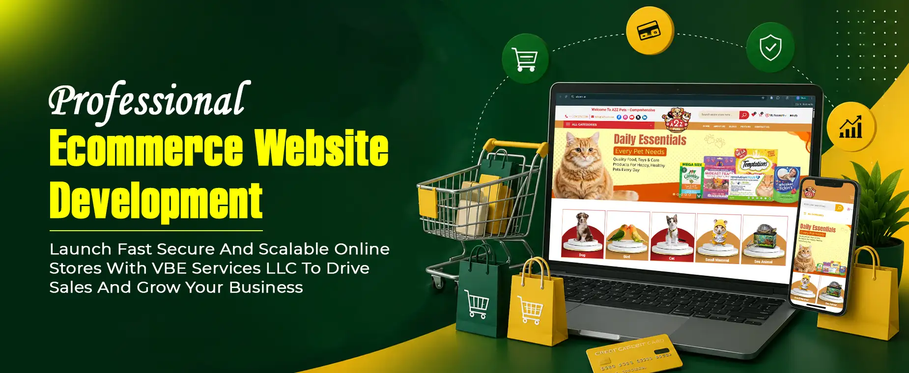 professional ecommerce website development