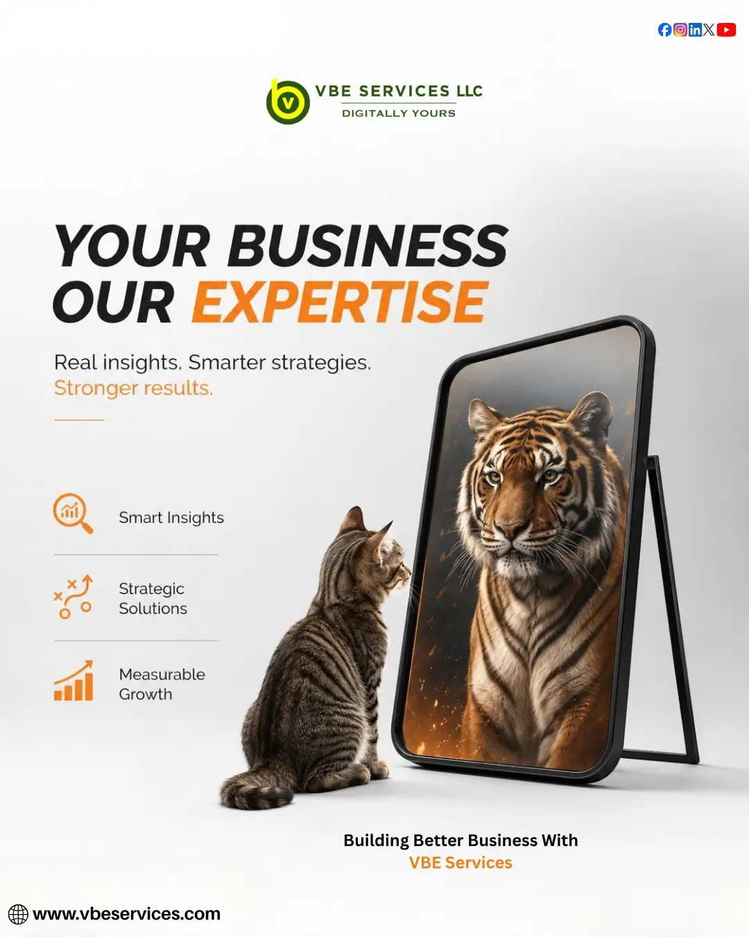 vbe services